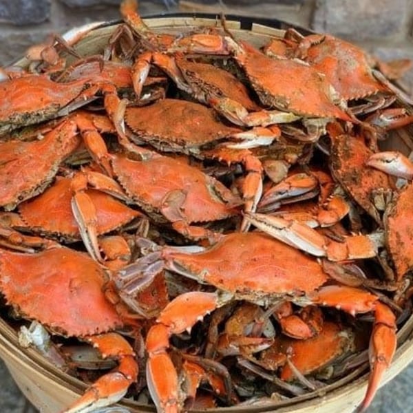 A large basket overflowing with freshly steamed, bright orange crabs from Moruss Seafood.