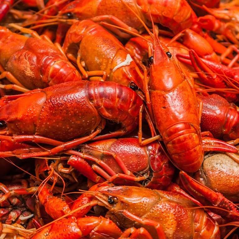 Delicious Crawfish Dishes